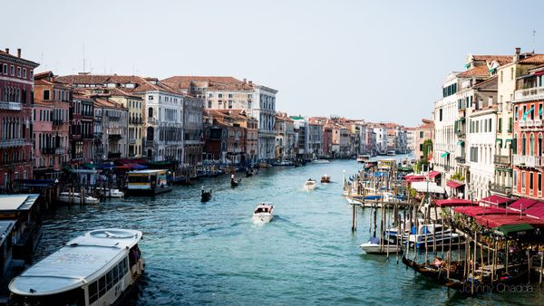 Venice (2014)